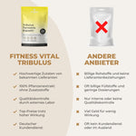 Tribulus Terrestris Kapseln mit 95% Saponinen